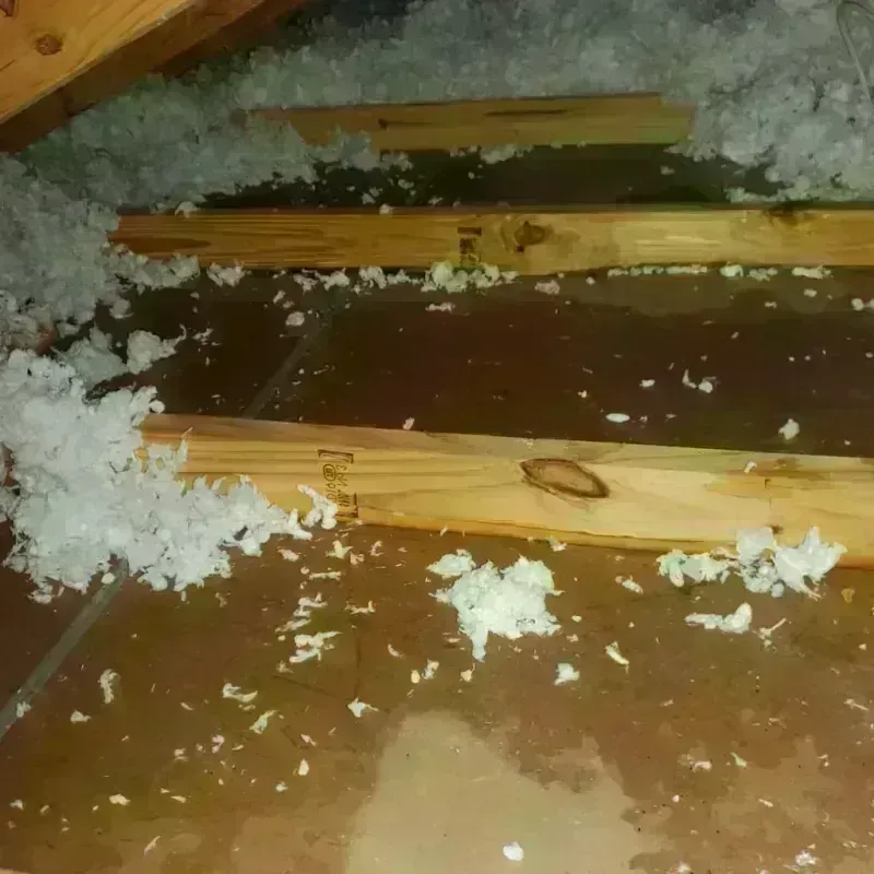 Attic Water Damage in Thayer County, NE