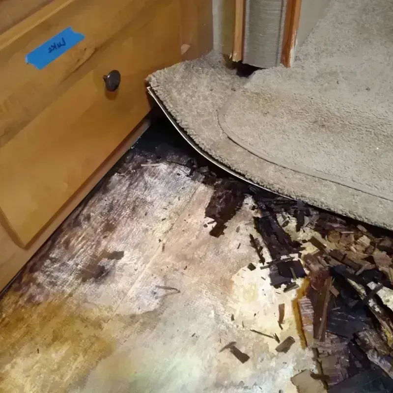 Wood Floor Water Damage in Thayer County, NE